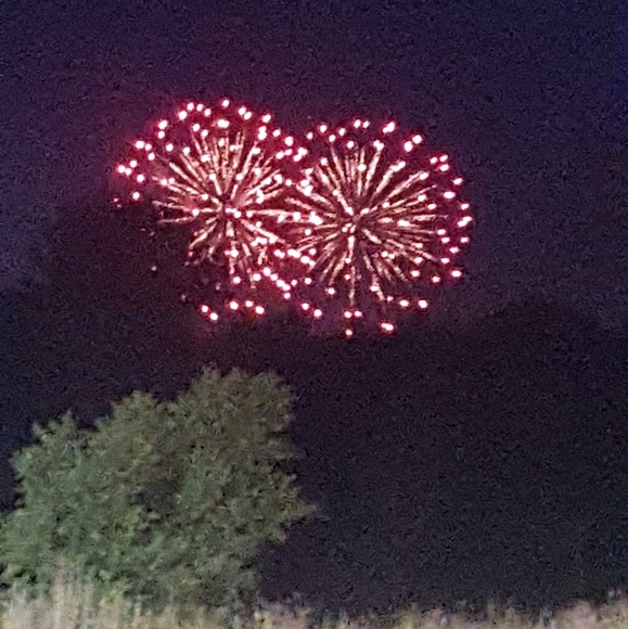 Meet your Posher, Sierra - Picture 1 of 1